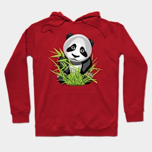 Panda Hoodie